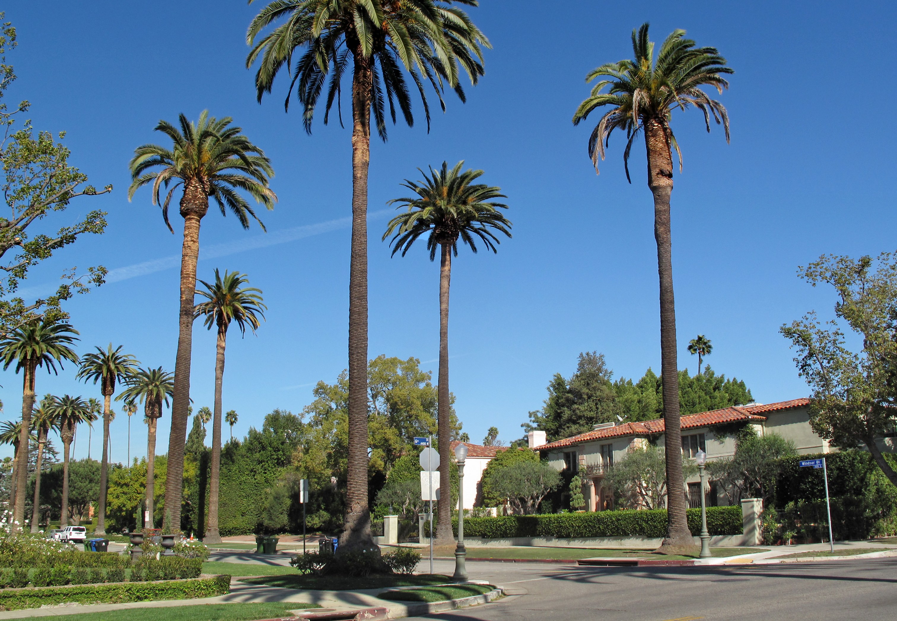 Palm-lined 6th Street at Windsor Boulevard with a Mediterranean home and clipped hedges in Hancock Park