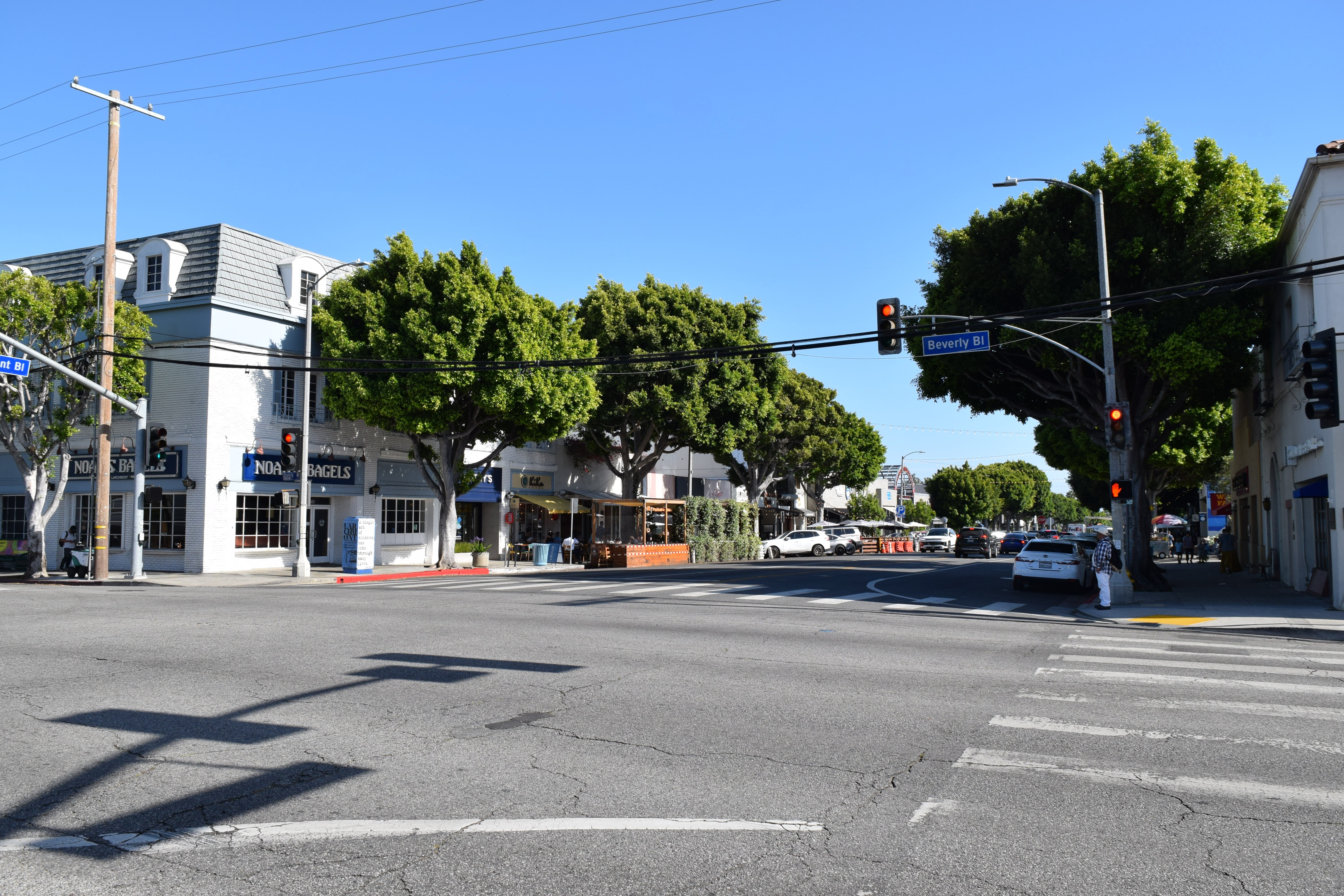 Tree-lined Larchmont Boulevard with storefronts and people walking