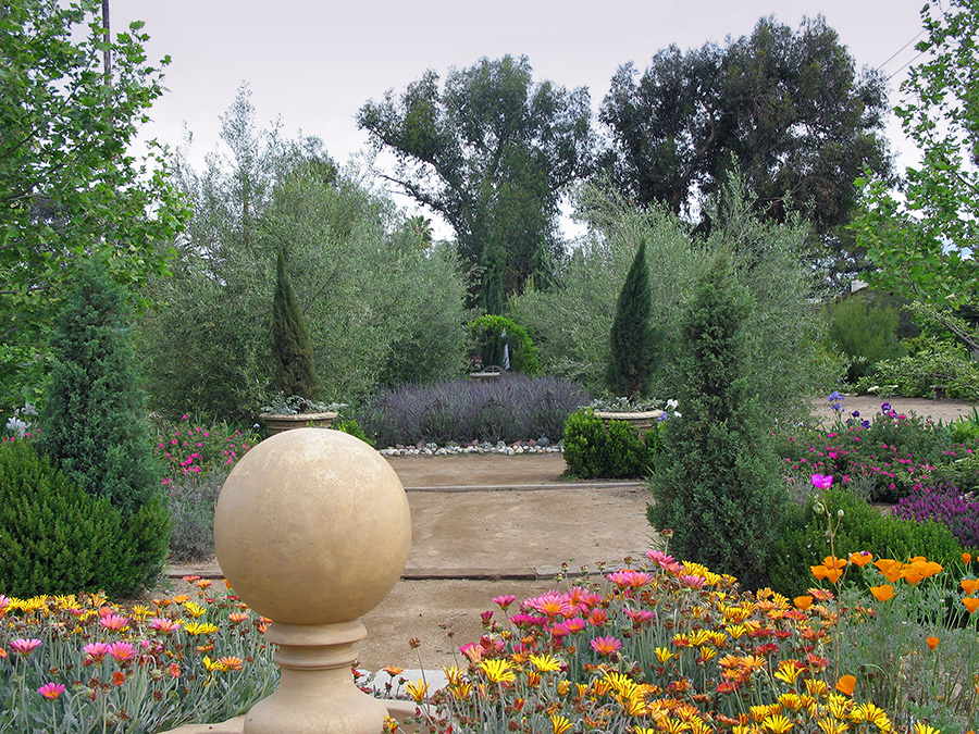 A winding path through the Mediterranean landscape at Arlington Garden