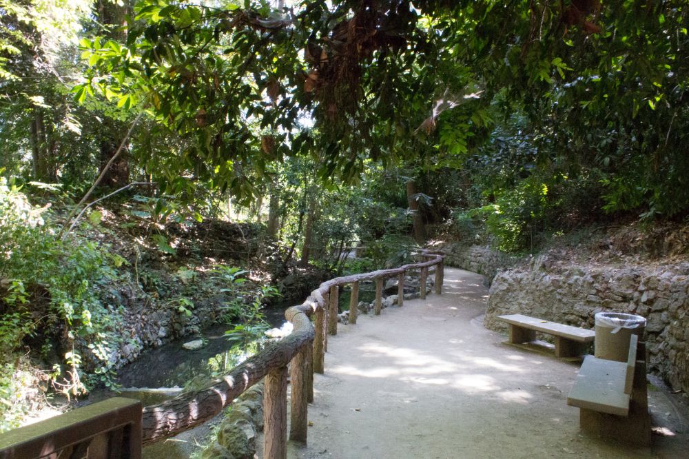 The shaded trail through Fern Dell in Griffith Park