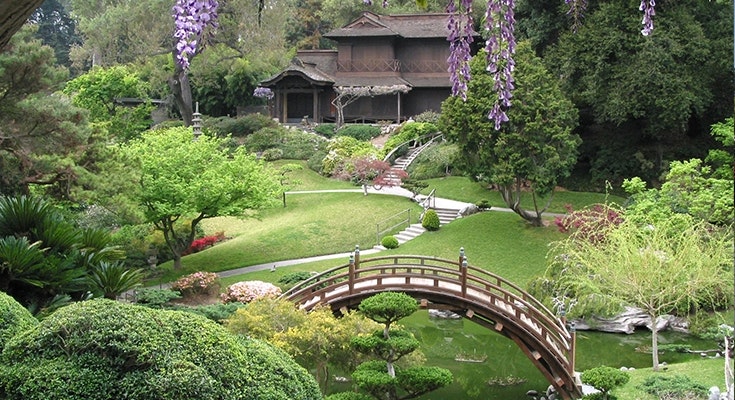 The Japanese Garden and moon bridge at The Huntington