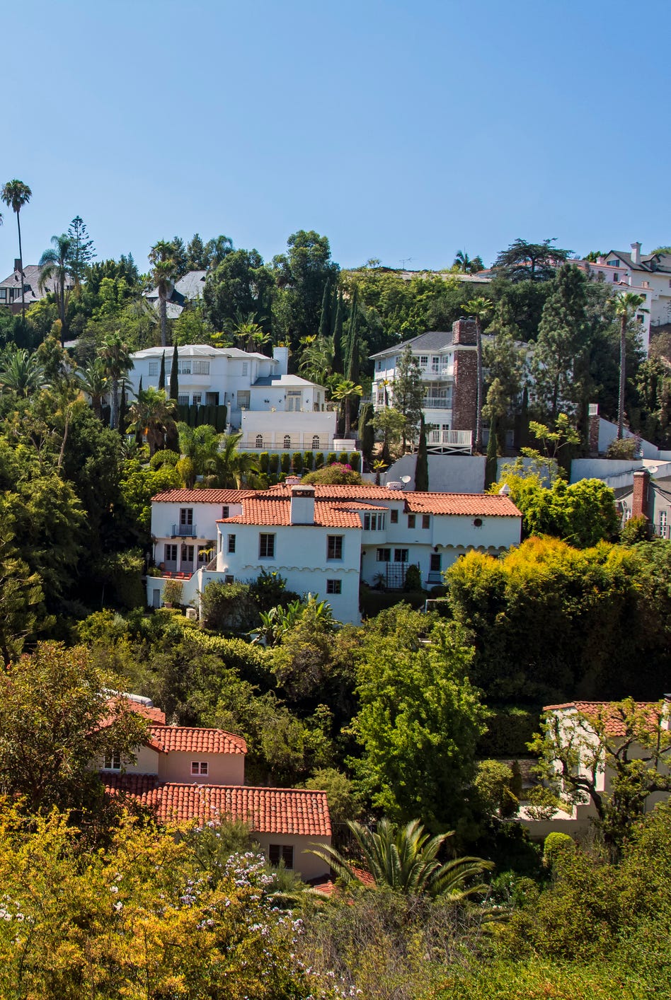Historic homes, palms, and red-tile roofs climbing the green hills of Los Feliz