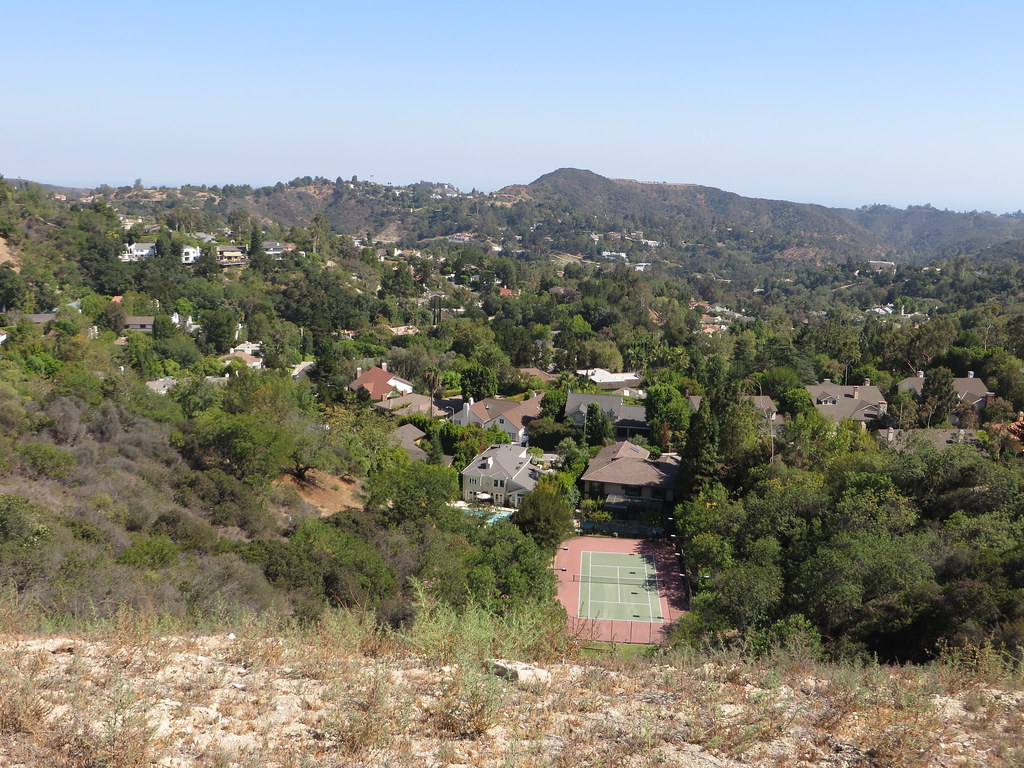Green hillside homes and canyon landscape in Sherman Oaks