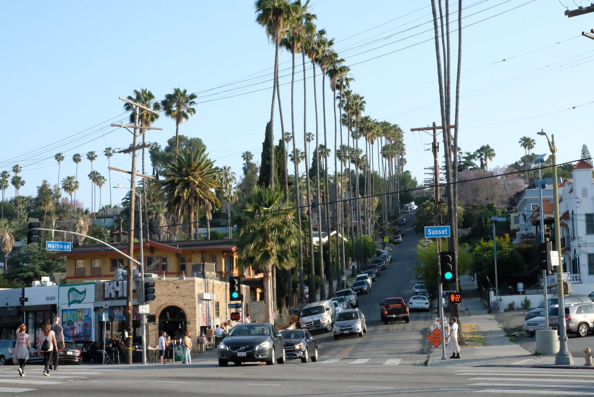Maltman Avenue rising into the palm-lined hills from Sunset Boulevard