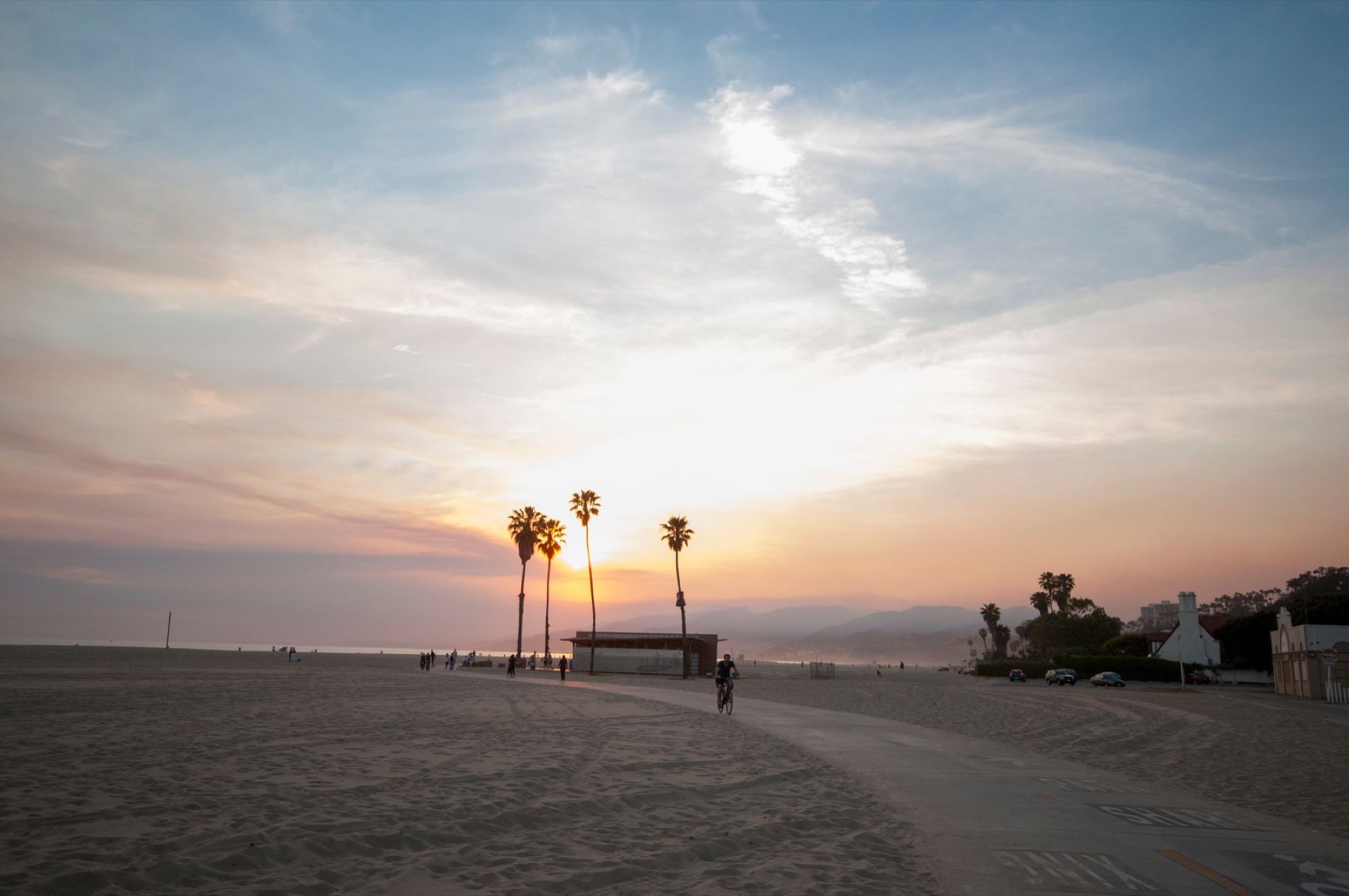 Palm trees at sunset in Venice