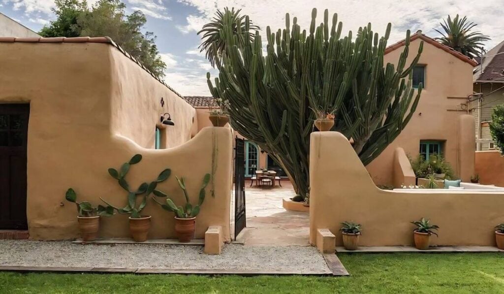 Cactus rising above the courtyard roofline at 2414 4th Avenue